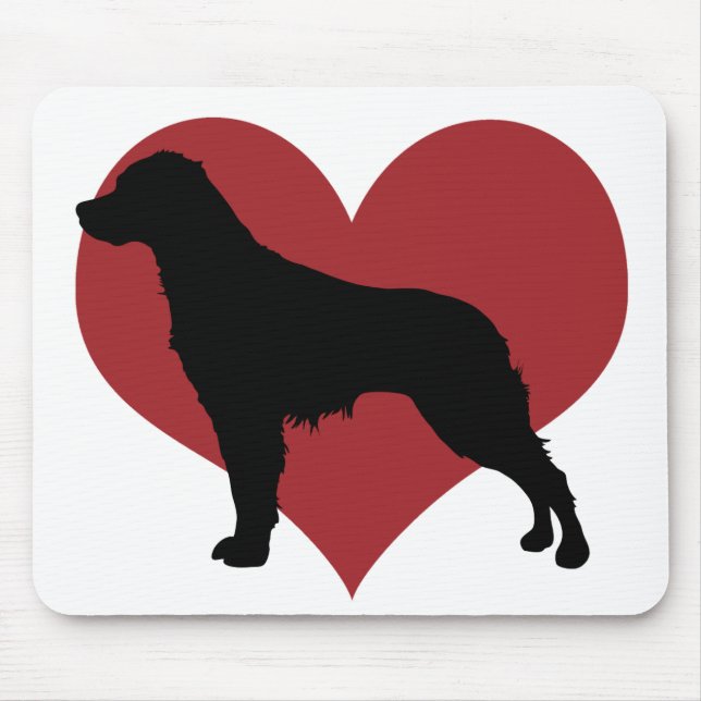 Epagnuel Briton Musmatta (Framsidan)