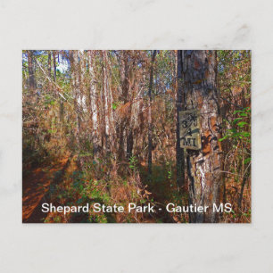 Epard State Park-spårskylt Vykort
