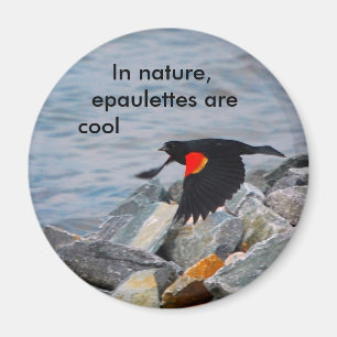 Epaulettes är kalla - magneten magnet