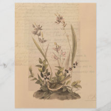 Ephemera 5 Skrapbok Papper