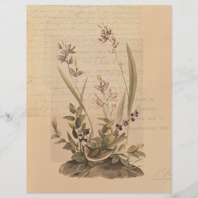 Ephemera 5 Skrapbok Papper (Framsida)