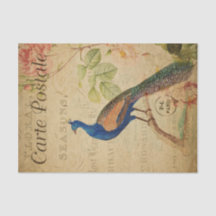 Ephemera Fransk vykort Peacock Decoupage