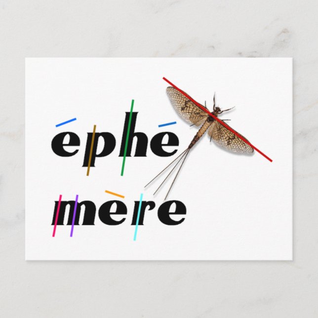 éphémère instantané vykort (Framsida)