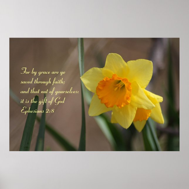 Ephesier 2:8 Bibliska verse med Gult Daffodil Poster (Framsidan)