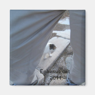 Ephesus kattmagnet magnet