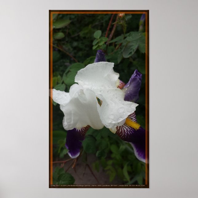 Epic-blomma 1 poster (Framsidan)