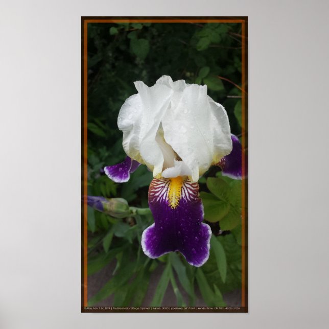 Epic-blomma 3 poster (Framsidan)