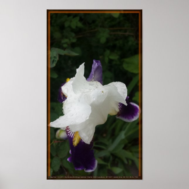 Epic Flower 2 Poster (Framsidan)