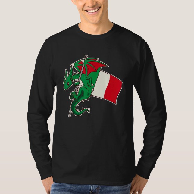 Epic Italian Dragon Proud Italy Flag T Shirt (Framsida)