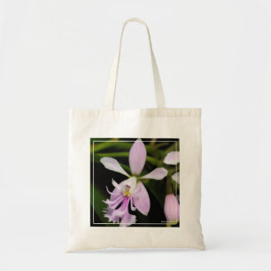 Epidendrum caligarium tygkasse