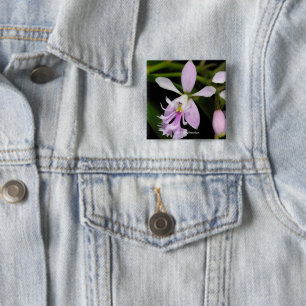 Epidendrumcaligarium Knapp
