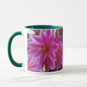 Epifyllum Mugg