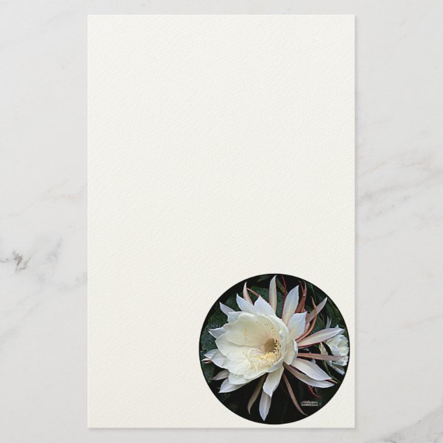 Epifyt Kaktus Blomma Brevpapper (Framsida)