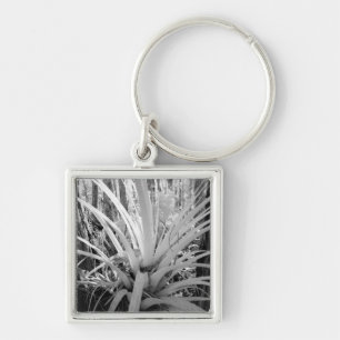Epifytiska tillandsia är vanliga i Florida, Fyrkantig Silverfärgad Nyckelring