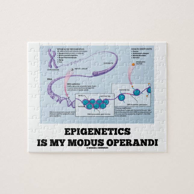Epigenetics är min Modus Operandi (mekanismen) Pussel (Horisontell)