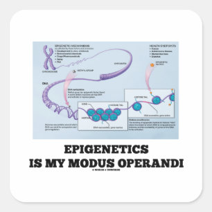 Epigenetiken är min modus operandi (mekanismer) fyrkantigt klistermärke