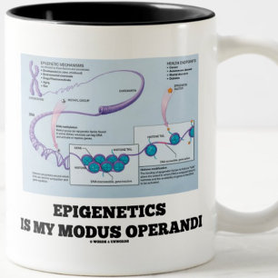 Epigenetiken är min modus operandi (mekanismer) Två-Tonad mugg