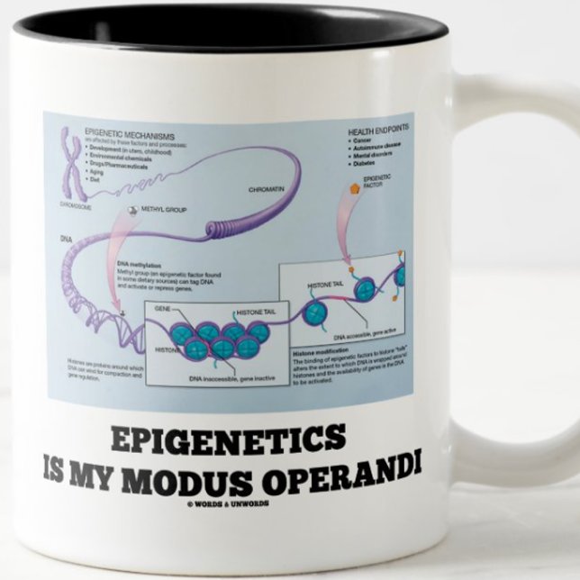 Epigenetiken är min modus operandi (mekanismer) Två-Tonad mugg (Epigeneticists and environmentalists will enjoy this mug)