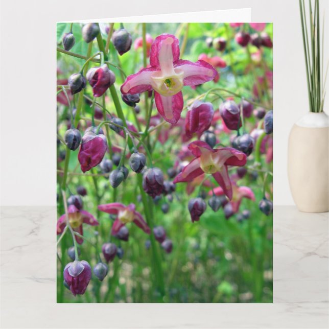 Epimedium Flowers Big Birthday Card Kort (Framsida)
