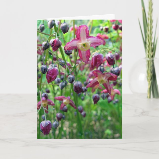Epimedium Flowers Birthday Card Kort (Framsida)