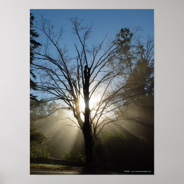 Epiphany Träd Poster (Framsidan)