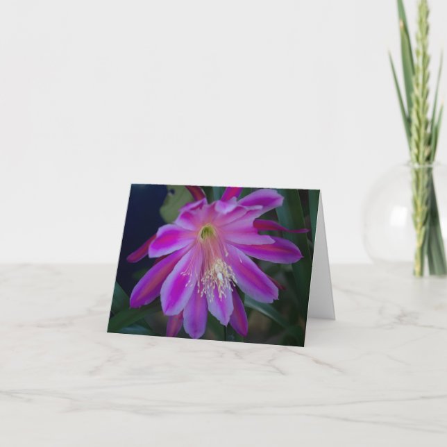 Epiphyllum-blankkort Anteckningskort (Framsida)