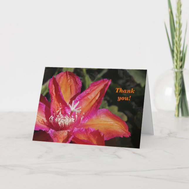 Epiphyllum tackkort (Framsida)