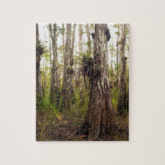 Epiphyte Bromeliad i den Florida skogen Pussel