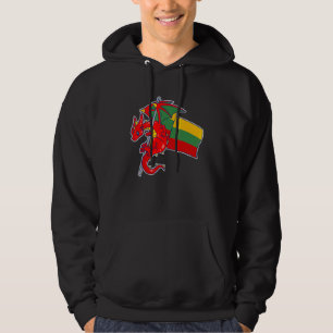 Episk litauisk drake Stolt litauisk flagga Hoodie