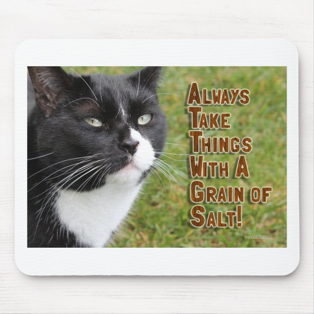 Episk motivation från en katt slogan tid musmatta (Framsidan)