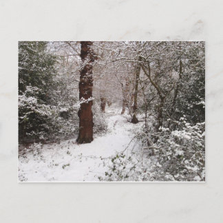 Epping Forest i snö. Vykort
