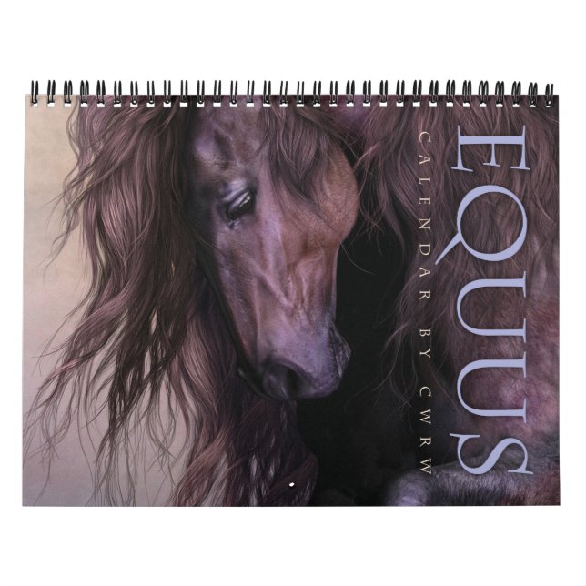 Equal Calendar Kalender (Omslag)