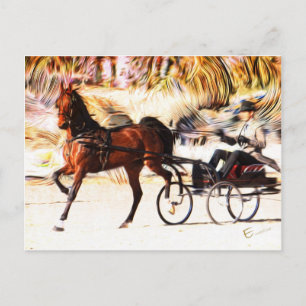 Equestrian Flamor Vykort