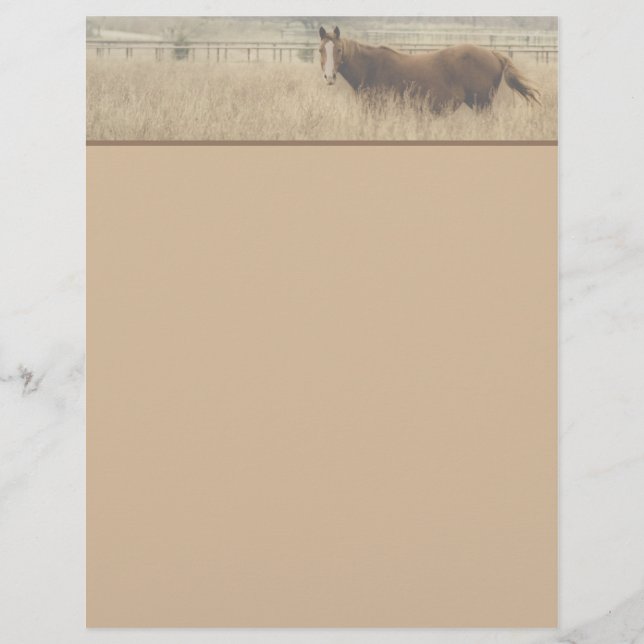 Equestrian Letterhead (Framsida)