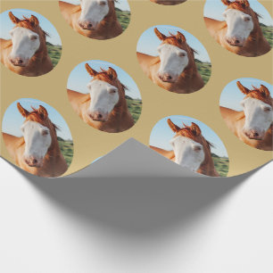 Equestrian Your Horse Gift Presentpapper
