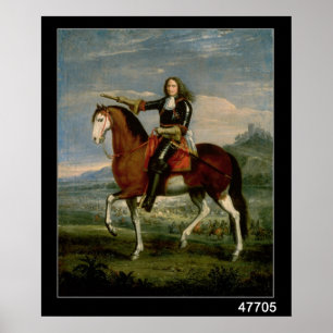 Equestrien Porträtt Poster