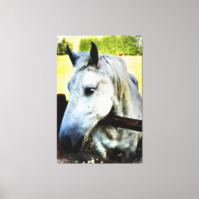 *~* Equine AR22 White Horse over Fence Canvastryck (Framsida)