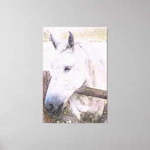 *~* Equine AR22 White Horse over Wood Fence Canvastryck