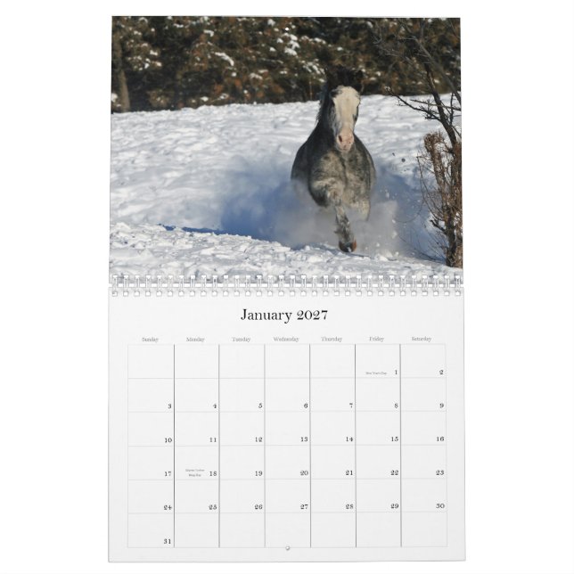 Equine bilder 2011 kalender (Jan 2027)