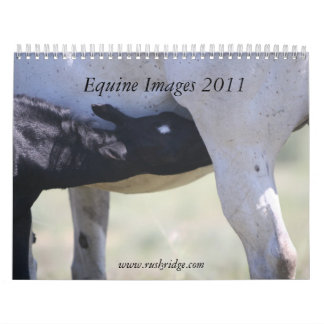 Equine bilder 2011 kalender