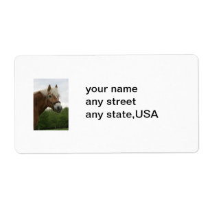 equine brevskickandeetiketter fraktsedel
