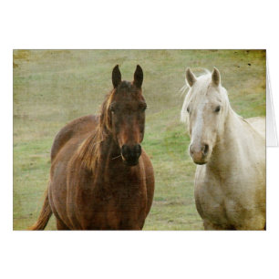 Equine Buddies Hälsningskort