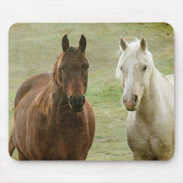Equine Buddies Musmatta (Framsidan)