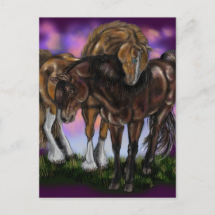 Equine Devotion~valentine-vykort Helg Vykort