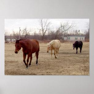 Equine följ ledareaffischen poster