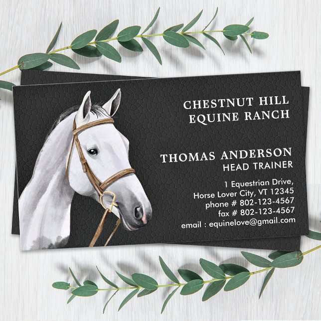 Equine Horse Professionell Personlig Equestrian Visitkort (Skapare uppladdad)