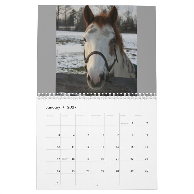 Equine kalender (Jan 2027)