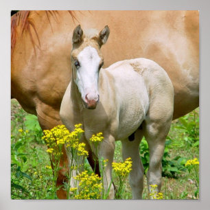 Equine konstaffischtryck poster