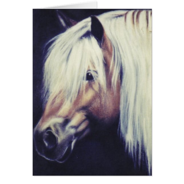 Equine kort "för Haflinger ponny" (Framsidan)