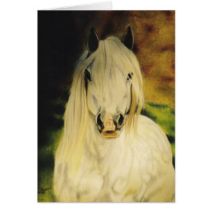 Equine kort "för Shetland ponny"